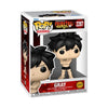 Fairy Tail 100 Years Quest Gray Funko Pop! Vinyl Figure #2287: !!CHASE!!